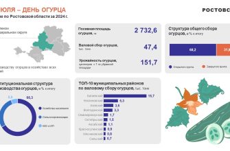 день огурца