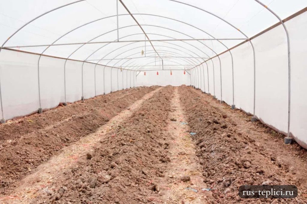 Когда нужно менять грунт в теплице