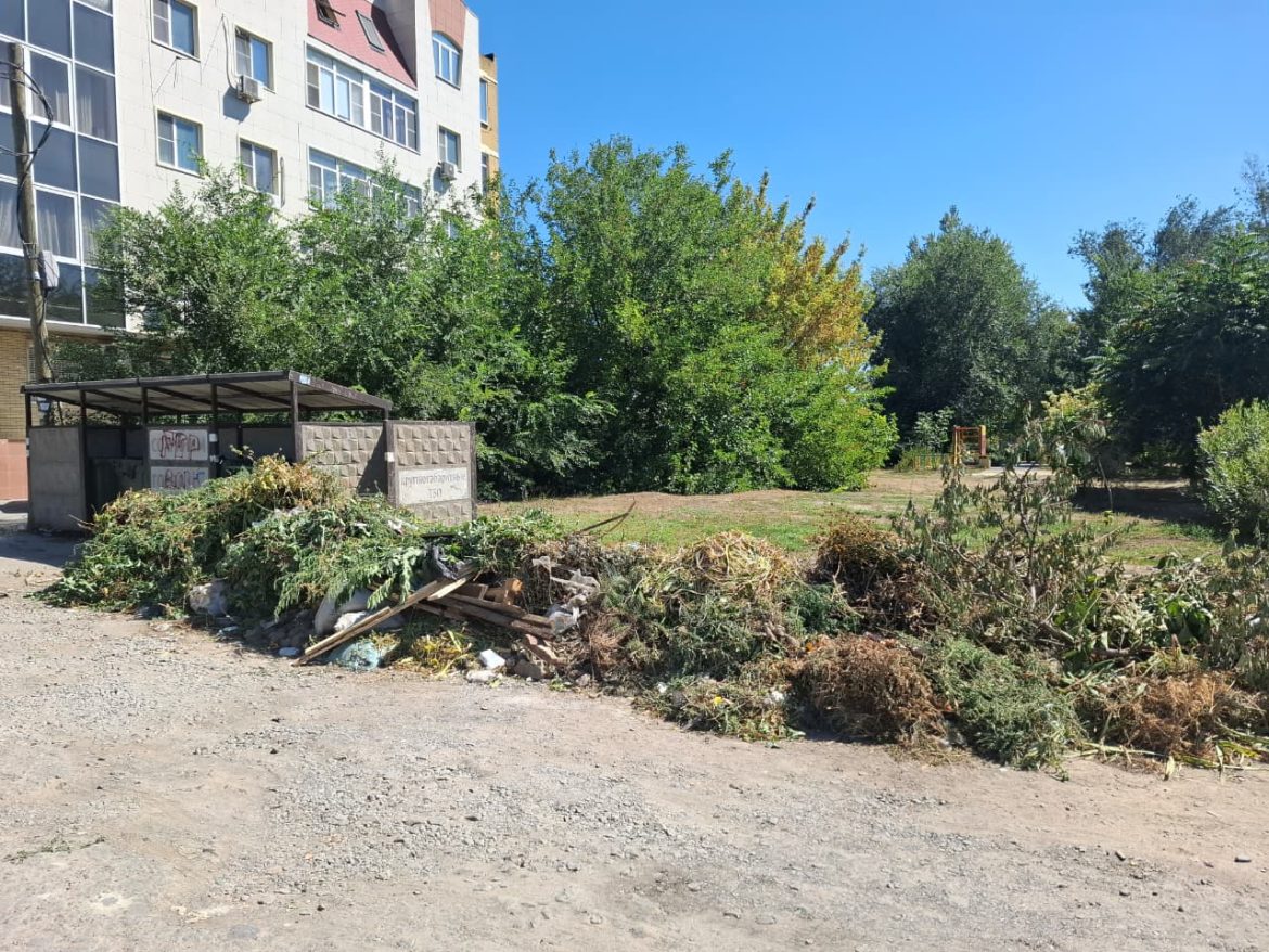 Новые правила обращения с отходами: что дончанам следует знать о растительных отходах