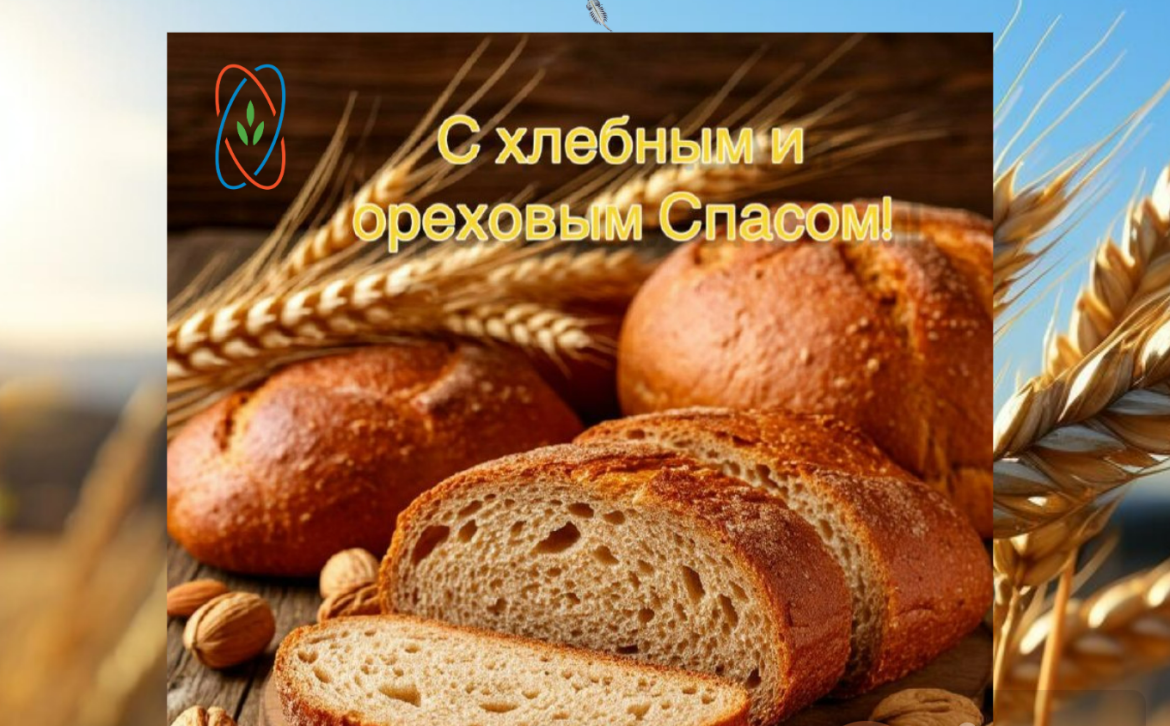 Хлебный и ореховый Спас – один из трех Спасов