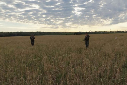 Юрий Слюсарь утвердил лимит добычи охотничьих ресурсов на территории Ростовской области