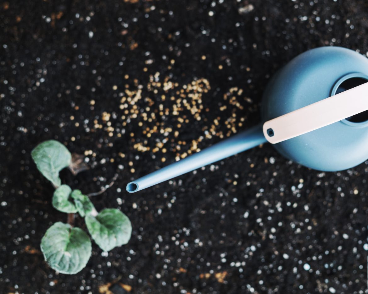 Восстанавливаем почву после уборки урожая