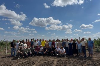 виноградари