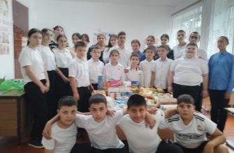 Мичуринская сош