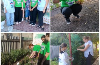 день добрых дел