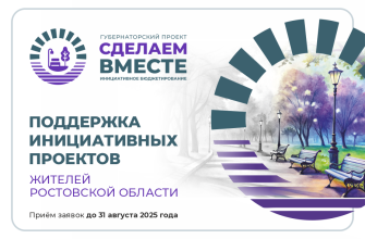 губернаторский проект