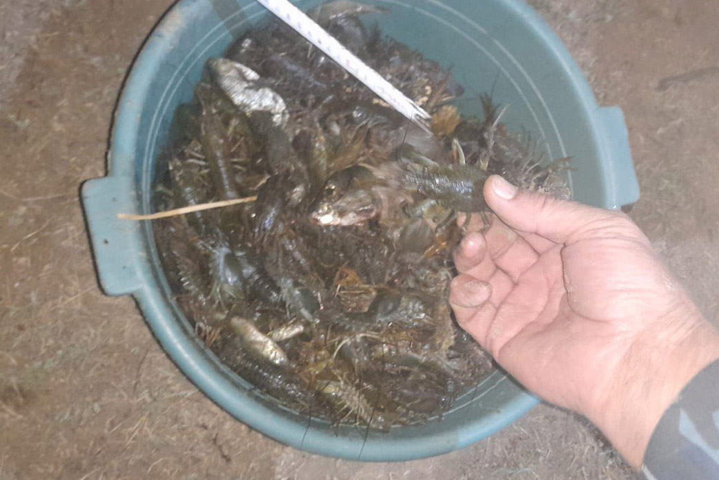 В акватории реки Маныч сотрудники транспортной полиции пресекли незаконный вылов водных биологических ресурсов