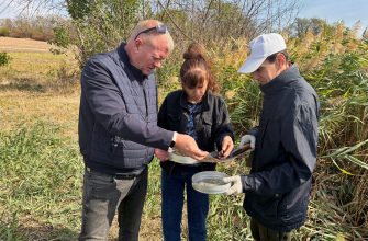 специалисты