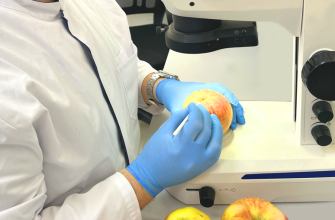 проверка качества