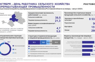 СТАТИСТИКА