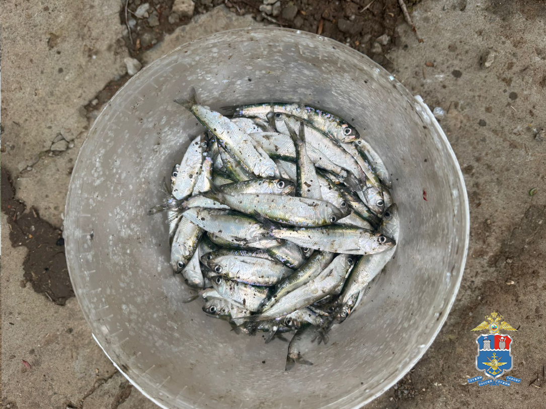 В Ростовской области сотрудниками транспортной полиции выявлен мужчина незаконно добывающий биоресурсы