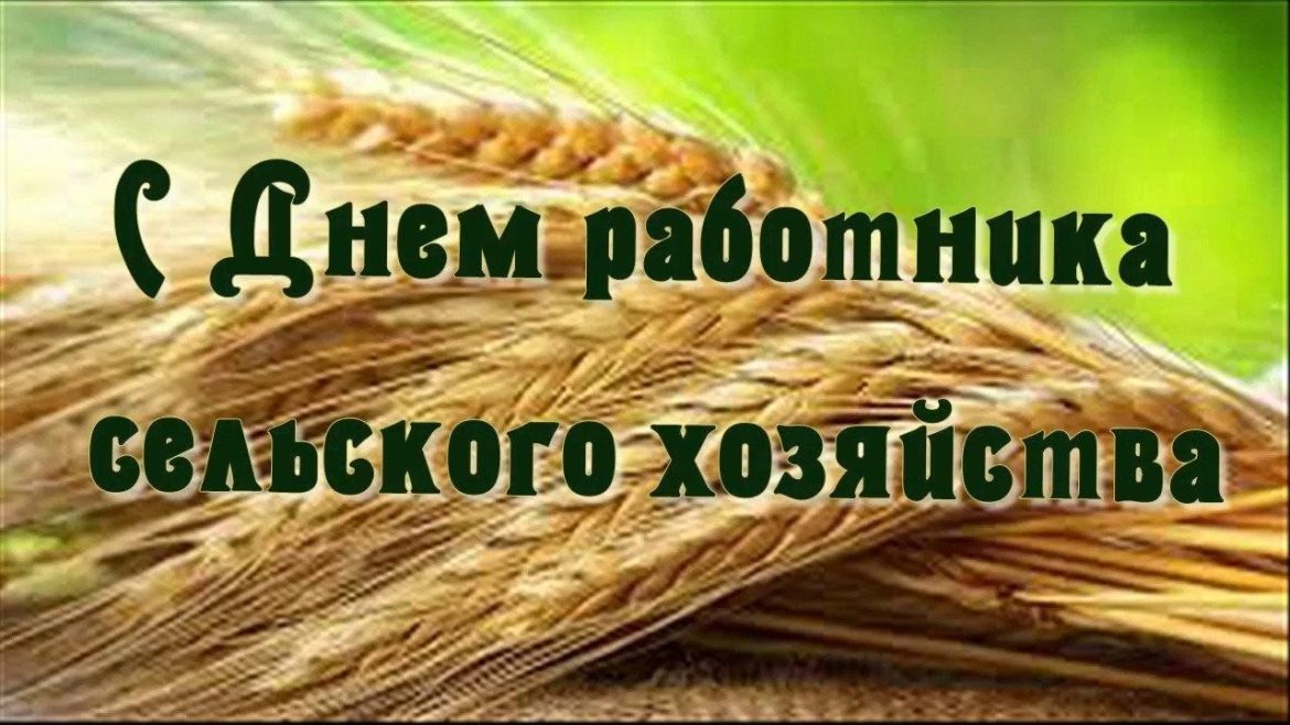 С праздником, уважаемые работники и ветераны сельского хозяйства и перерабатывающей промышленности Волгодонского района!