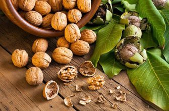 орехи