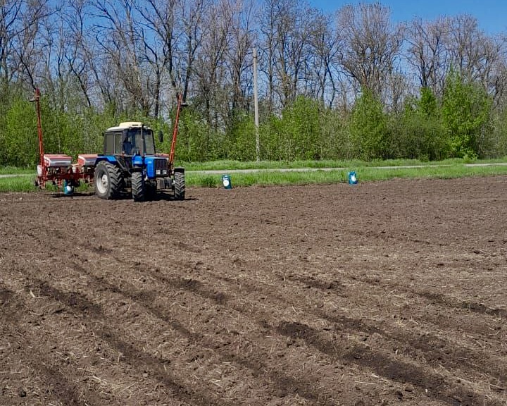 Началась подготовка к «Дню Донского поля 2026»