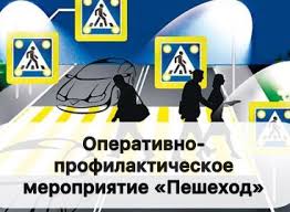 Сотрудники Госавтоинспекции проводят оперативно профилактическое мероприятие «Пешеход»