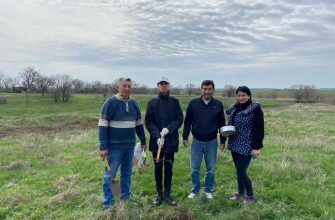 мониторинг