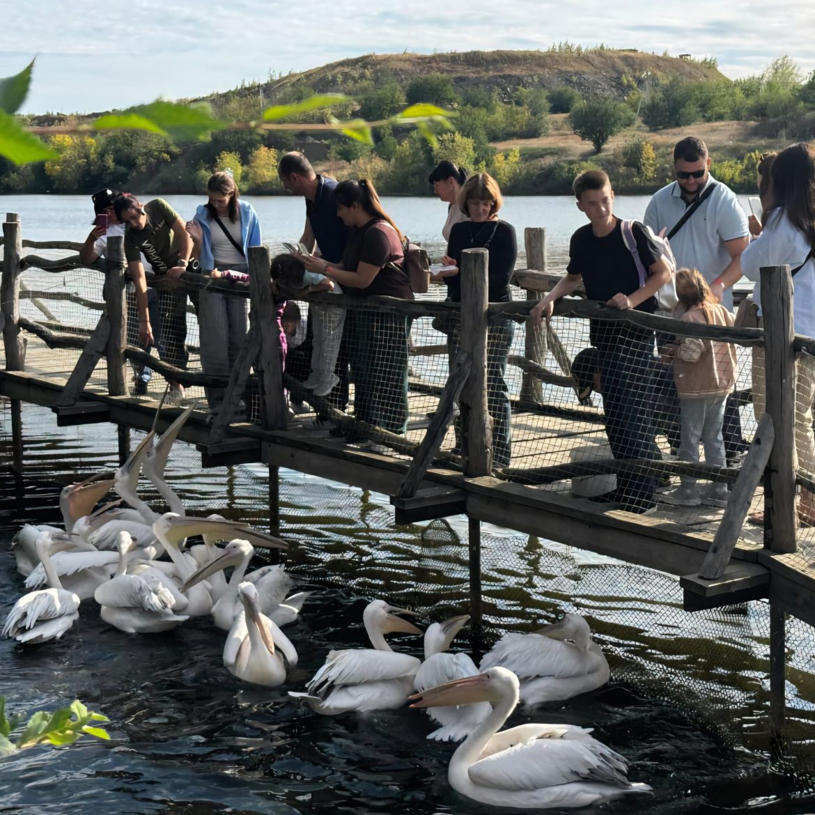 Ветераны и семьи героев СВО посетили Южный парк птиц «Малинки»