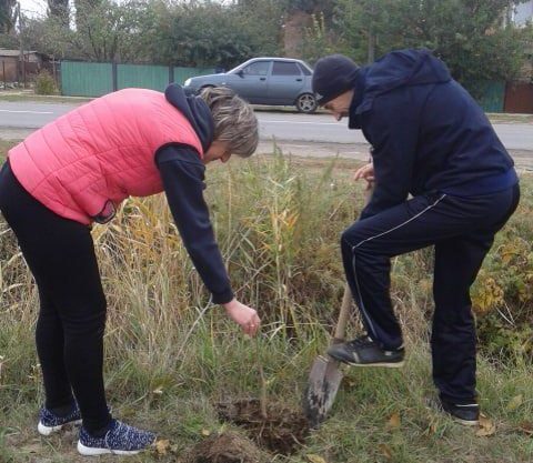 В Волгодонском районе высадили 60 новых деревьев и 44 кустарника
