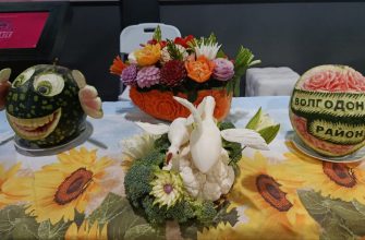 экспозиция