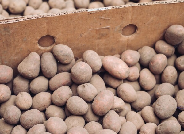 Храним урожай без ошибок