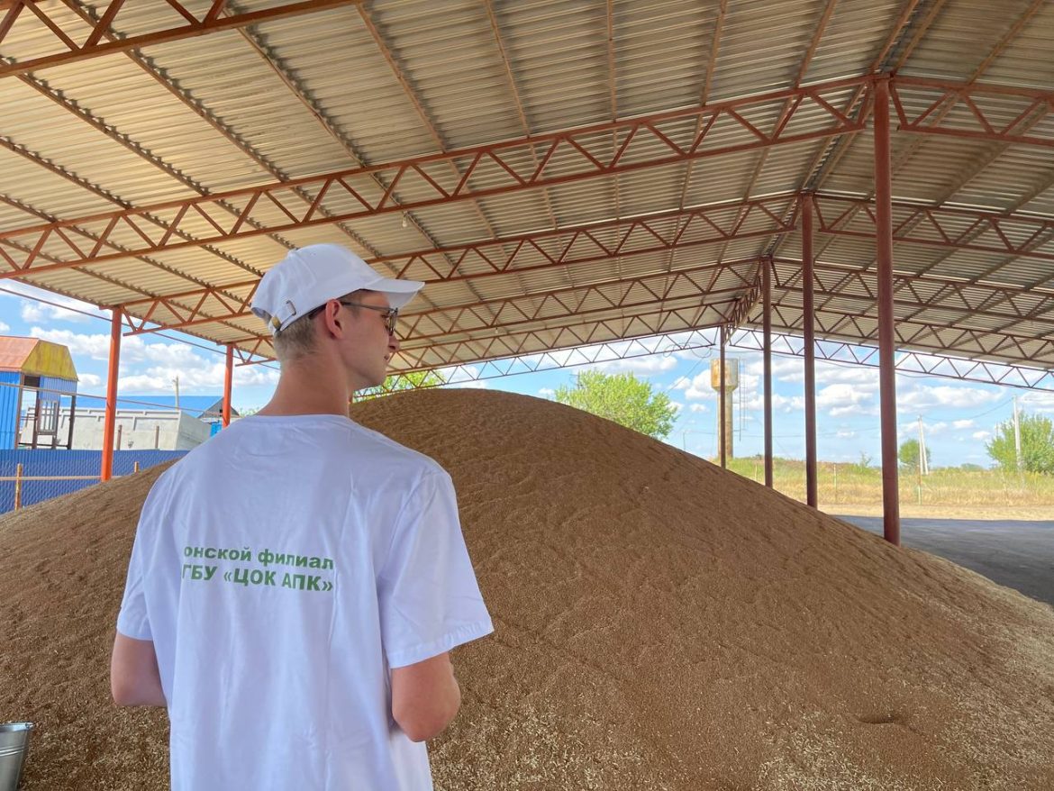 Донской филиал ЦОК АПК завершил государственный мониторинг зерна урожая 2025 года в Ростовской области и Калмыкии