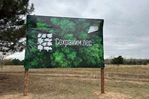 В Ростовской области высадили деревья в рамках экологической акции