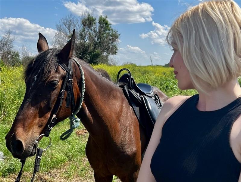 Более 300 исследований на антитела к болезням лошадей провели донские специалисты ЦОК АПК