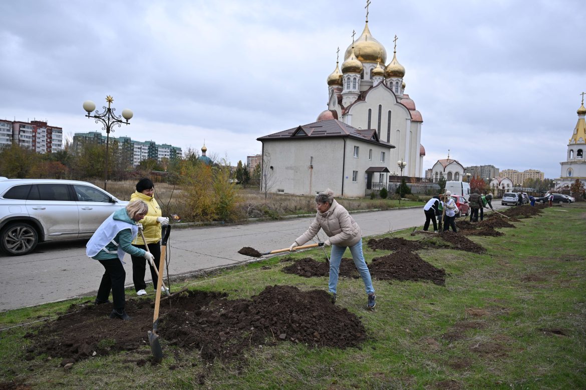 Ростовская АЭС: атомщики подарили Волгодонску липовую аллею