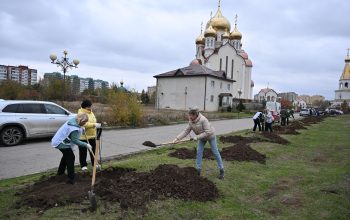 высадка деренвьев