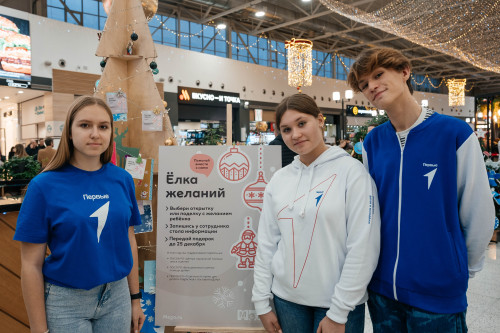 Ростовская область присоединилась к акции «Елка желаний»