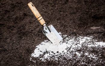 ивесткование