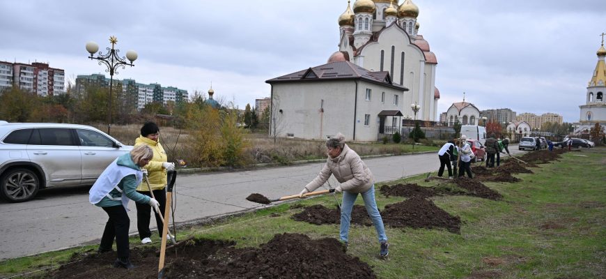 высадка деренвьев