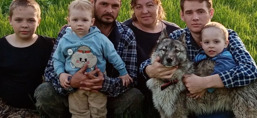 семья