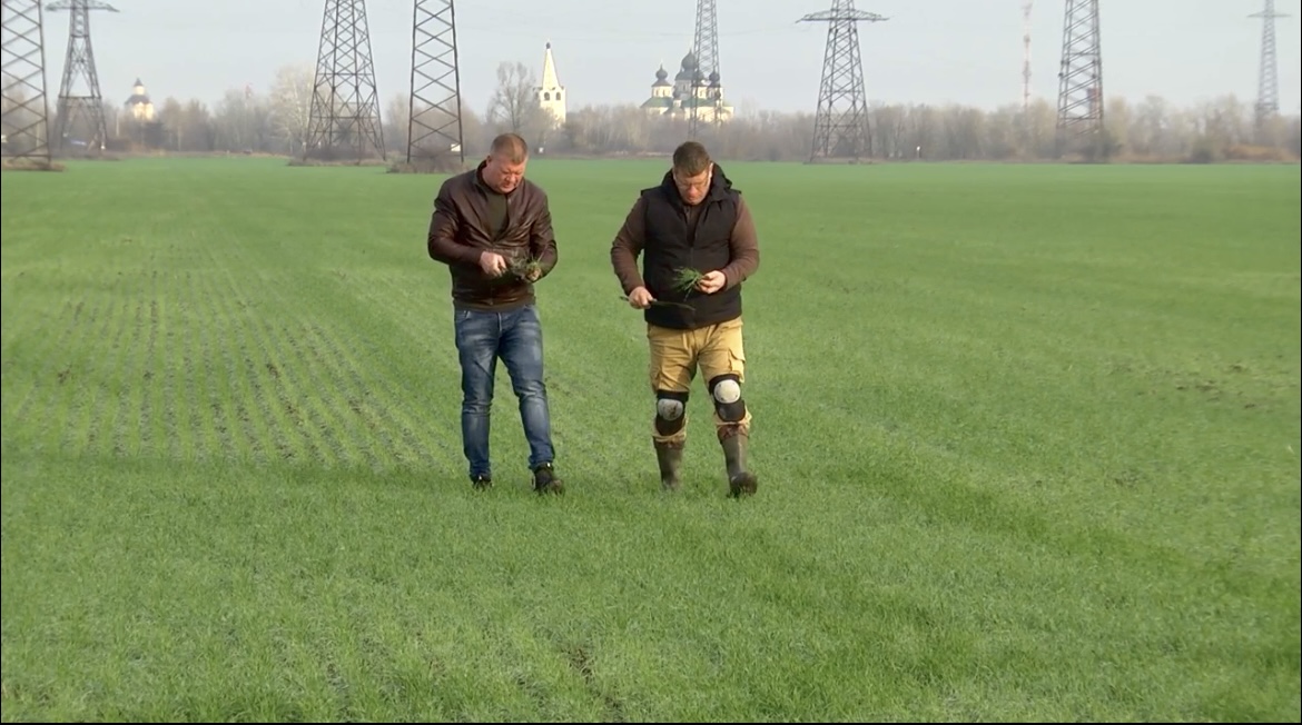 Специалисты Россельхозцентра помогают аграриям защитить будущий урожай