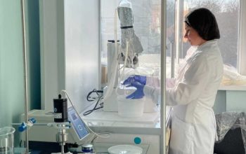 предприниматель