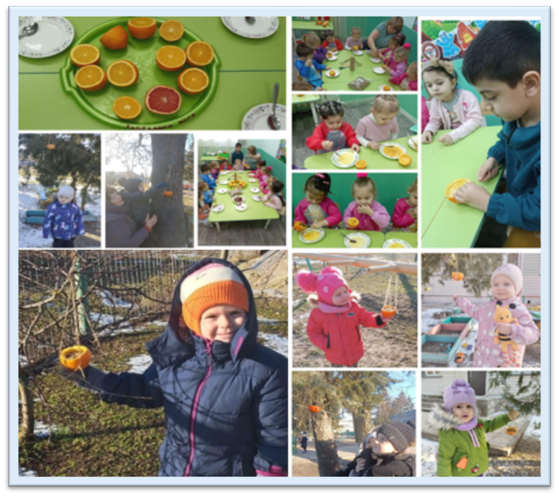 Малыши из детсада «Дюймовочка» позаботились о зимующих пернатых