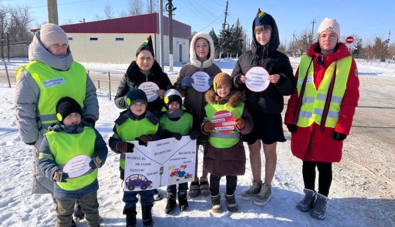 инспекторы