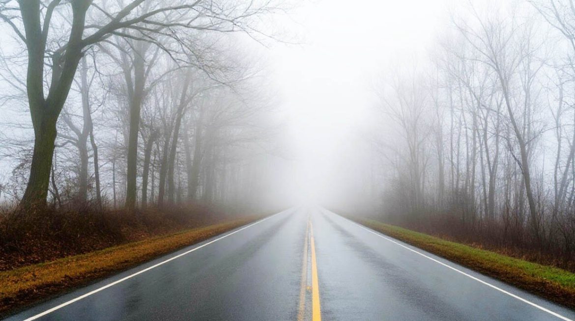 Туман на дорогах: Госавтоинспекция призывает водителей и пешеходов к предельной осторожности