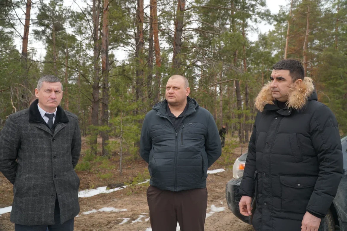 На Дону продолжается восстановление лесов в рамках нацпроекта «Экологическое благополучие»