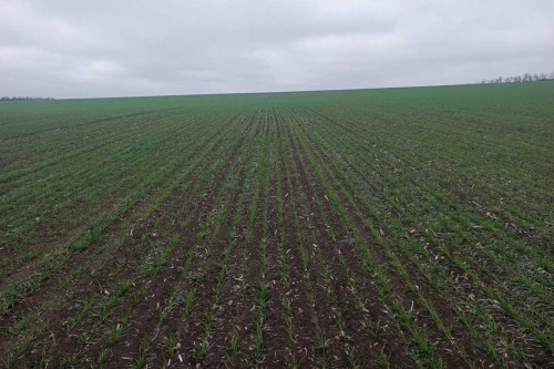 Заработала новая программа микрофинансовой поддержки донских сельхозтоваропроизводителей