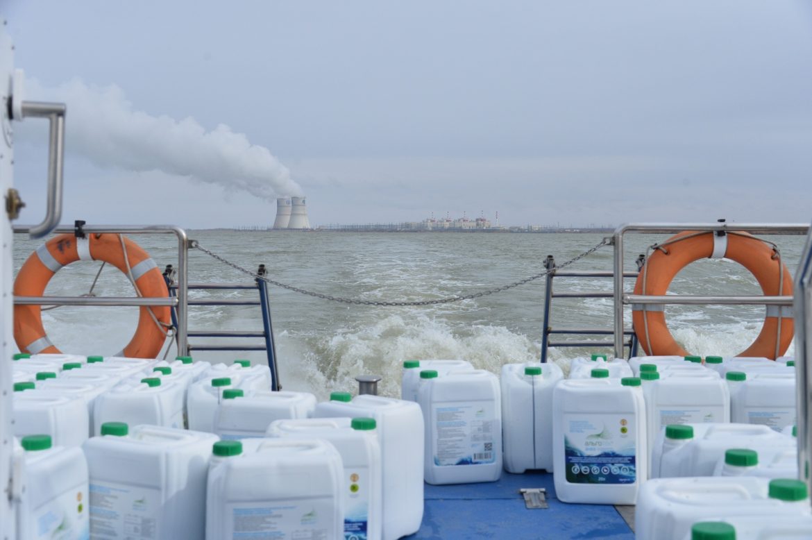 Экологи выпустили в водоём-охладитель Ростовской АЭС более 3-х тысяч литров хлореллы для подержания водного экобаланса