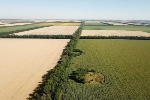 19 донских памятников археологии стали объектами федерального значения