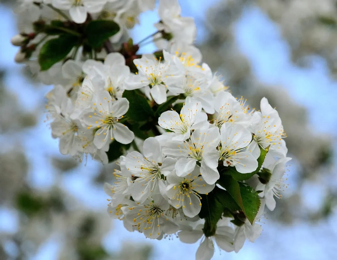 Майские праздники-2026 — самые короткие за последние 8 лет