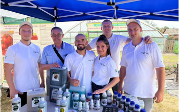 сообщество