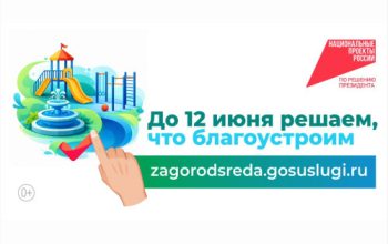 голосование