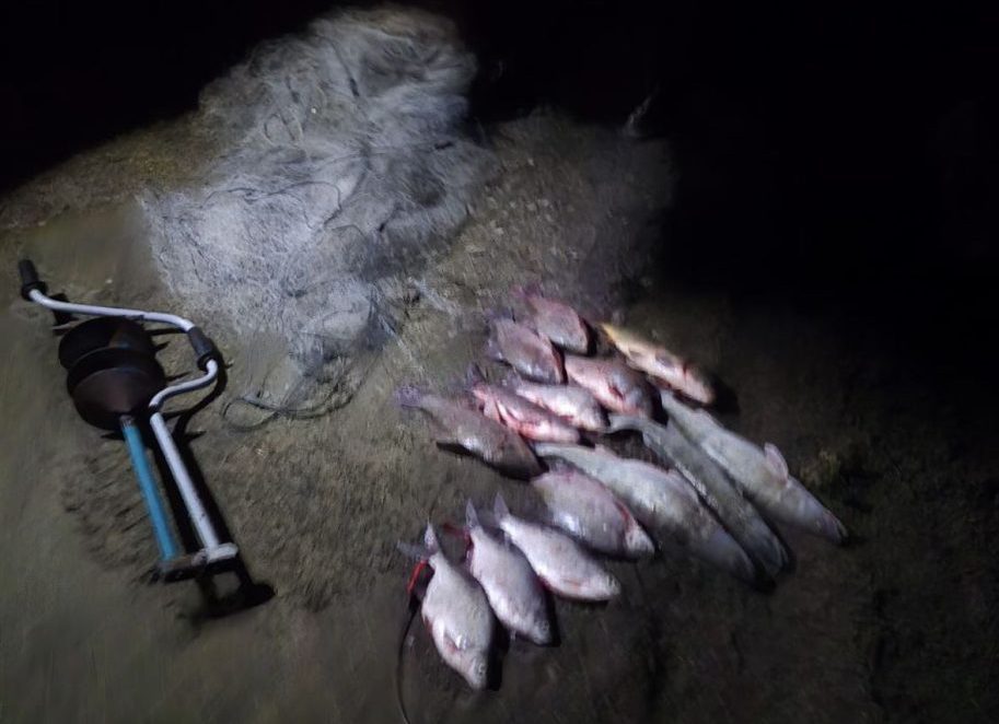 Транспортные полицейские пресекли незаконный вылов рыбы на Дону и в Цимлянском водохранилище