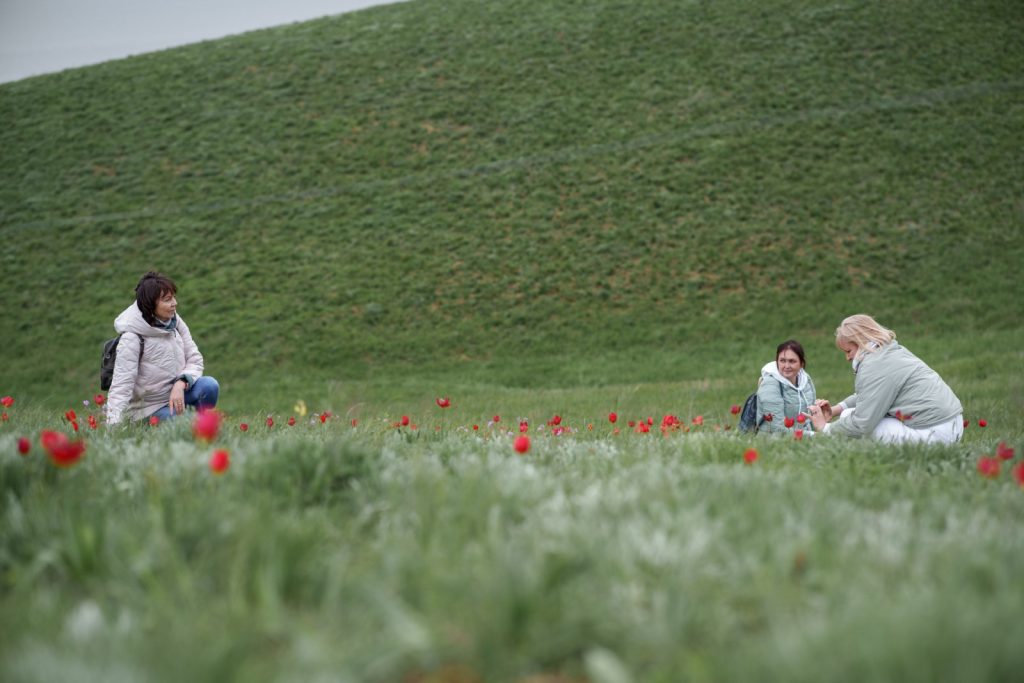 В Орловском районе расцвёл фестиваль экотуризма «Воспетая степь»