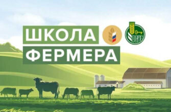 школа