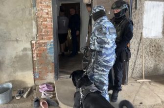рейд